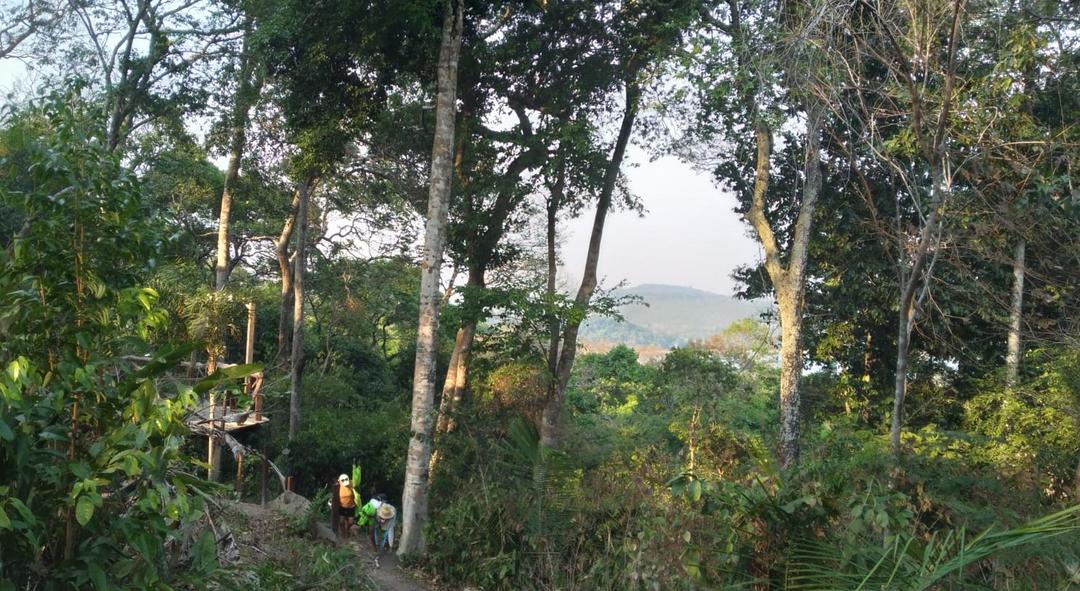 Salvaguardem o Lago Verde e o Eixo Forte, terras indígenas, da degradação e especulação! 