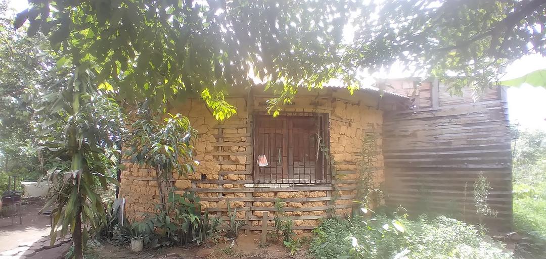 A casa maloca e sua agrofloresta